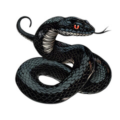 Naklejka premium A black snake with red eyes coiled in a defensive posture.