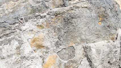 Close-up of a weathered rock with a rough, textured surface. The stone displays varied shades, from light to dark patches, revealing natural erosion details