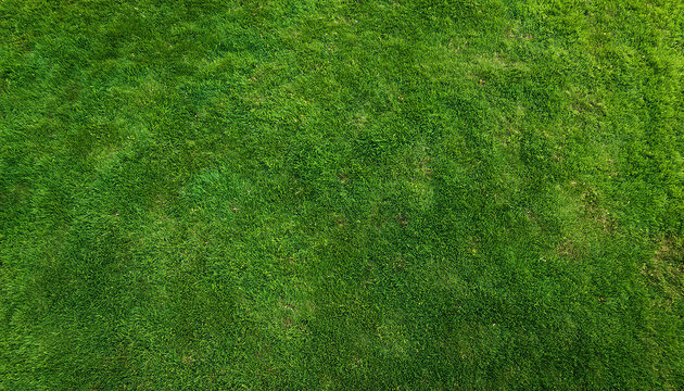 Lawn grass texture background. Top view from drone.