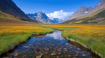 Obraz premium Mountain Stream Through Wildflower Meadow in Autumn