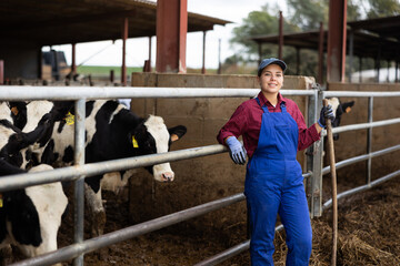 Confident farmer woman holds a rake in open cowshed