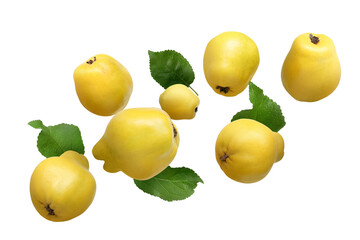Fresh quinces and green leaves in air on white background