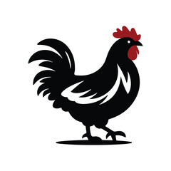 Chicken Illustrations and Photos High Quality Poultry Images for Creative Projects