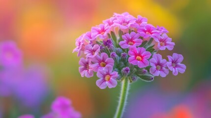 Delicate Pink Flowers in a Garden of Colorful Blurs