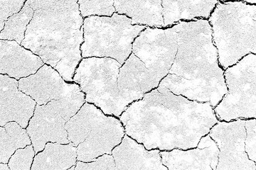 Texture soil dry crack background pattern of drought lack of water of nature white black old broken.