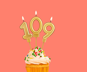 Birthday candle and cupcake - Number 109