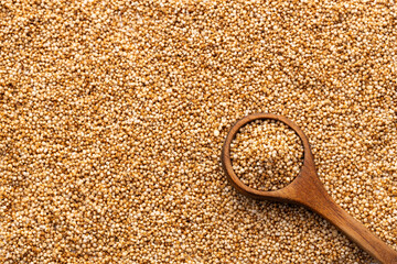 Amaranthus - Organic amaranth pops on the spoon.