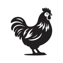 Chicken Illustrations and Photos High Quality Poultry Images for Creative Projects