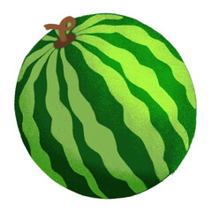 Watermelon illustration handdrawn 