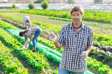 Portrait of positive farm owner against background of field with a harvest of vegetables