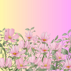 12x12 Floral - 12x12_Small Flowers_ Pink_Pink Yellow Ombre Background