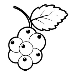currant outline with white background, for coloring page