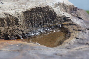 Close up of small brown puddle in rock