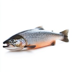 Naklejka premium Salmon isolated on white background
