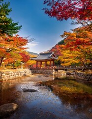 Autumn scenery in Korea