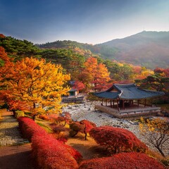 Autumn scenery in Korea