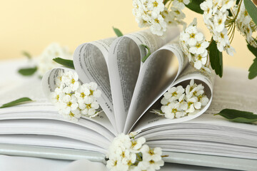 Aesthetics of books with flowers on a light background.
