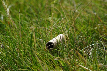 Close up of cardboard straw sitting grass