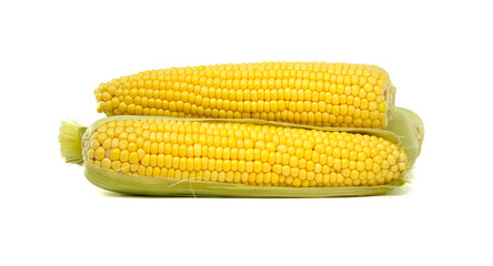 Fresh corn cobs with husks and kernels isolated on a white background