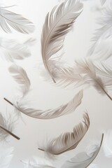 Elegant feathers floating gracefully against a soft, neutral background.