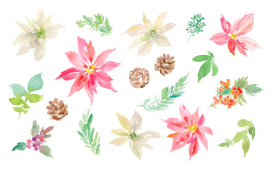 A vector illustration set of abstract poinsettias, holly, and pine cones painted in watercolor. Illustrations for holiday season cards, patterns, and gift wrapping.