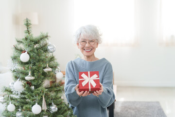 クリスマスプレゼントを渡す高齢者女性