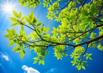 Fototapeta premium Lush Green Tree Branch with Vibrant Leaves Against a Clear Blue Sky in a Peaceful Natural Setting