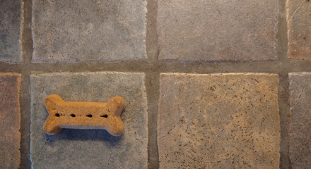 One dog bone cookie on a porcelain tiled countertop 