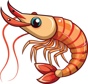 recommend clip art: prawn clip art vector