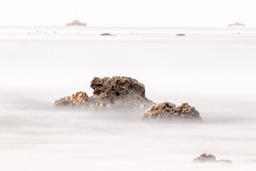 Serene Coral Enveloped by Fog in Detailed View. Calm Sea Disappearing into the Mist.