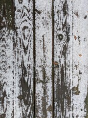 Snow and leaves on wood texture