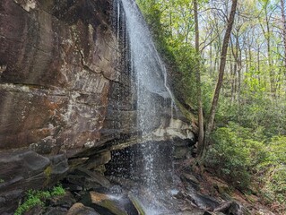 Small waterfall over smooth rock in lush green forest