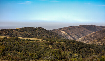 landscape in the morning