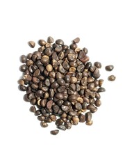 Isolated kale seeds on white
