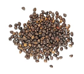 Isolated kale seeds on white