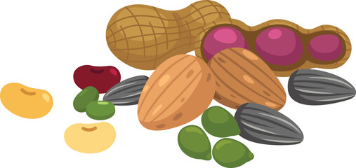 illustration of on nuts a white background