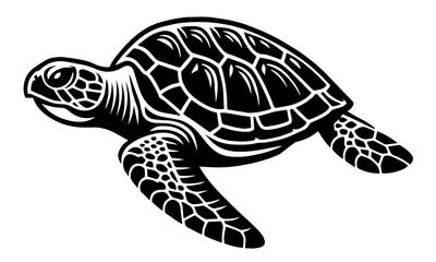 Sea turtle silhouette graphic