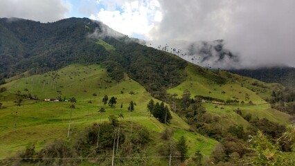 Valle de Cocora