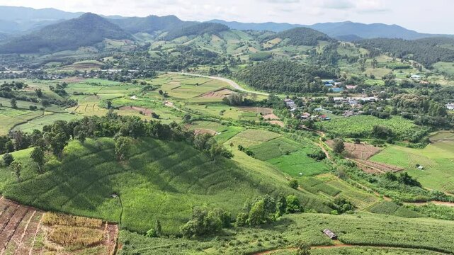 agricultural deforestation ,environmental damage in Southeast Asia , global warming and environment.