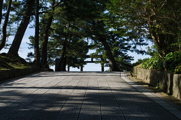 島根県　出雲大社風景