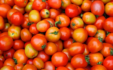 Fresh tomatoes. A vibrant close-up of freshly picked tomatoes, showcasing their rich red and orange hues. Fresh produce, healthy eating, and farm-to-table concepts.