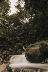 waterfall in the forest