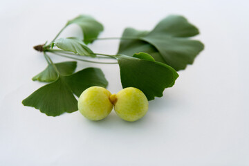 Ginkgo leaves with fruits on white background