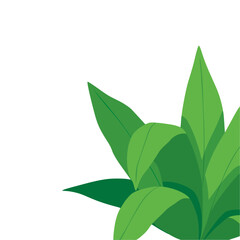 Make a Professional Grass Vector Art