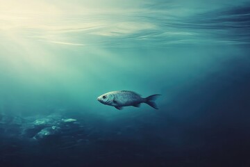 A Single Fish Swimming Through a Sunlit Underwater Scene
