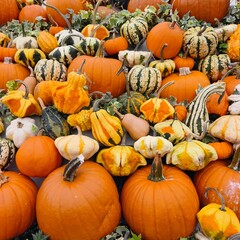 Decorative colorful artificial lifelike mixed vegetables