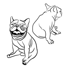 Set of two French bulldogs. One sits facing forward. The other one has turned away and is looking back. Sketch illustration. Black and white.