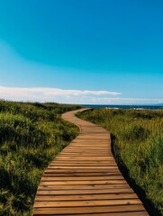 A scenic wooden boardwalk winds its way through lush green grass towards the distant blue coastline, offering a tranquil escape and a sense of adventure.