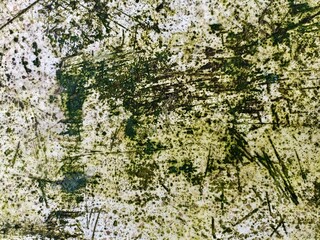 bark background