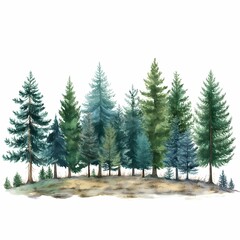 Fototapeta premium Green Pine Fir Trees, Isolated on White Background